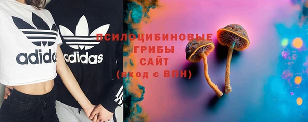 спайс Медвежьегорск