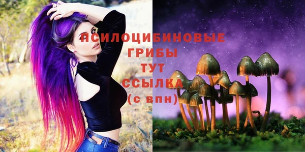 спайс Медвежьегорск