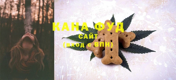 Альфа ПВП Алагир