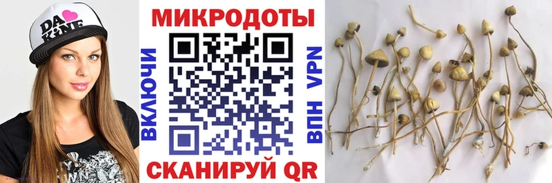 Галлюциногенные грибы мицелий  где продают   Томилино 