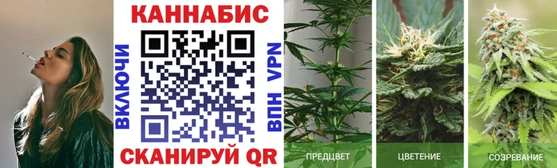 Бошки марихуана сатива  Томилино 